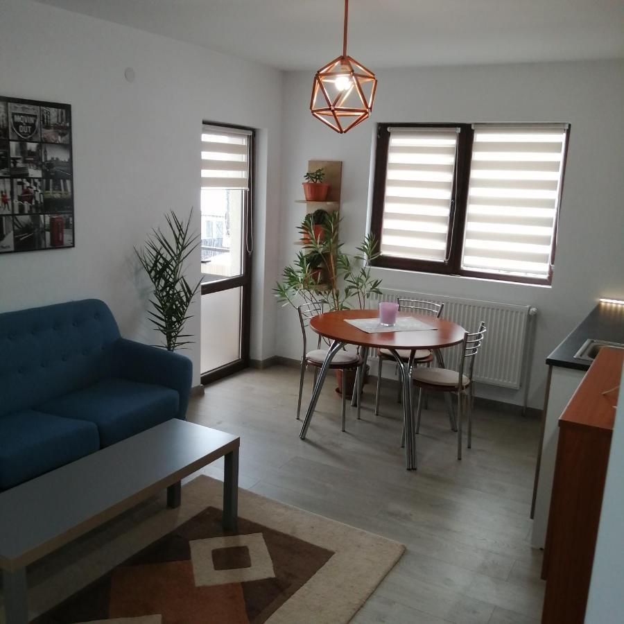 Villa 38 Silviu Apartment Bucharest Luaran gambar