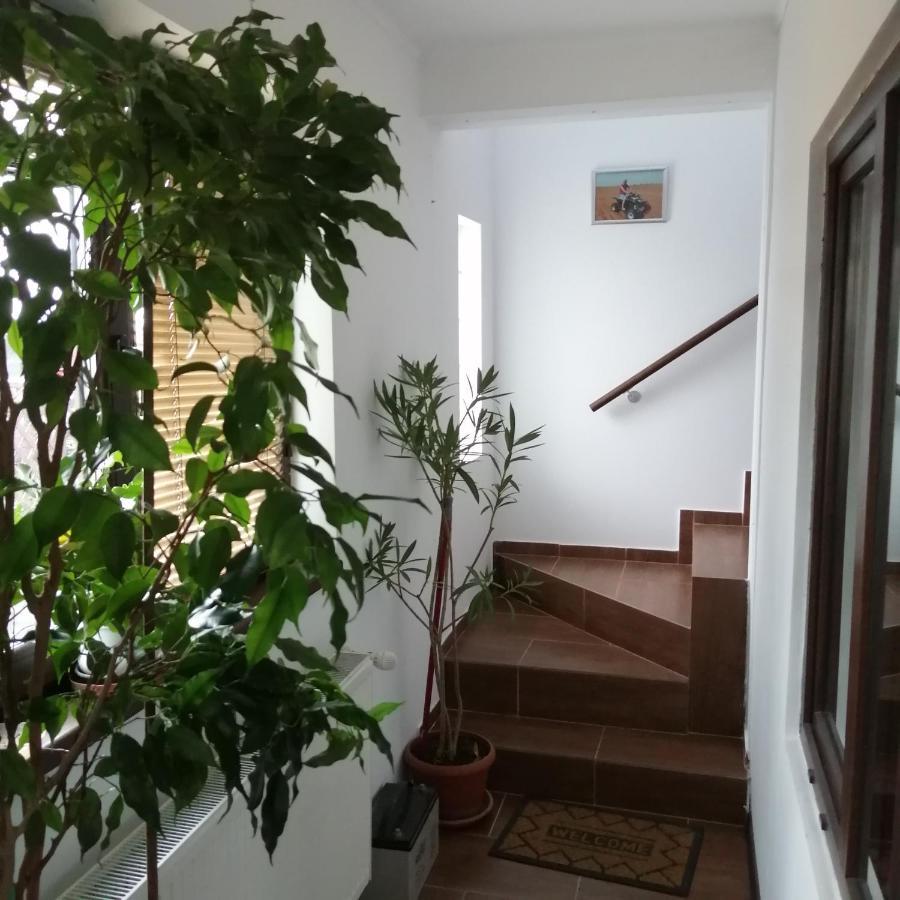Villa 38 Silviu Apartment Bucharest Luaran gambar